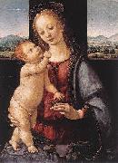 LORENZO DI CREDI Madonna and Child with a Pomegranate France oil painting artist